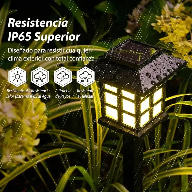 TU JARDÍN OSCURO SE VE BARATO… HASTA HOY | 2X1