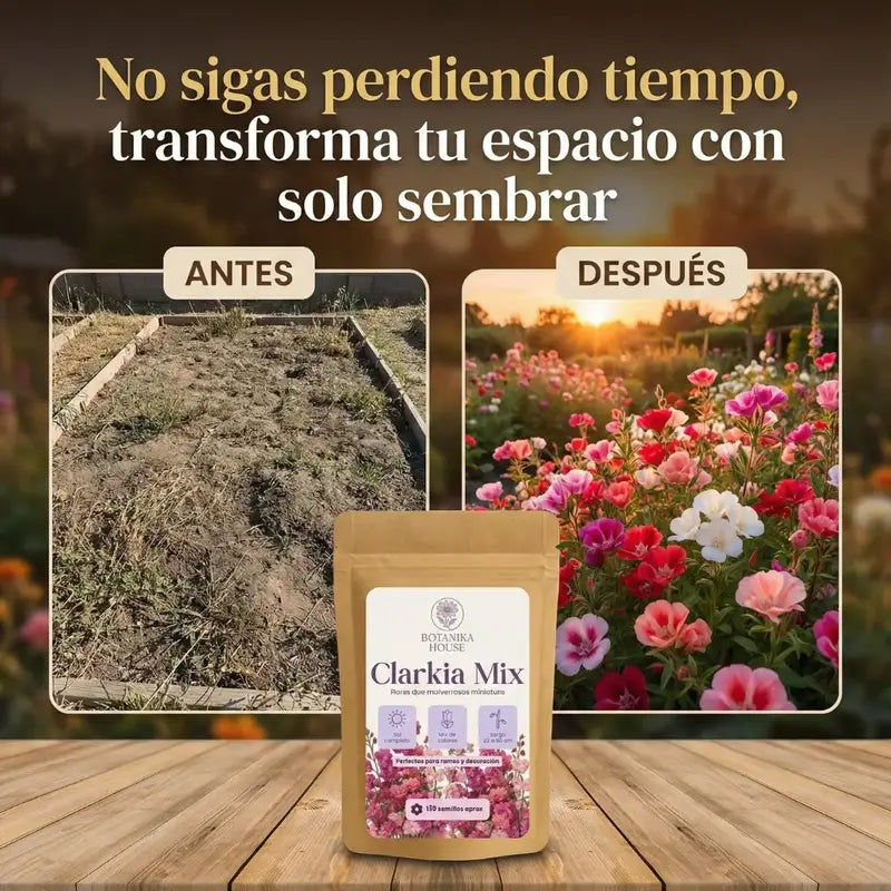 CONVIERTE TU JARDÍN EN UN IMÁN DE MIRADAS
