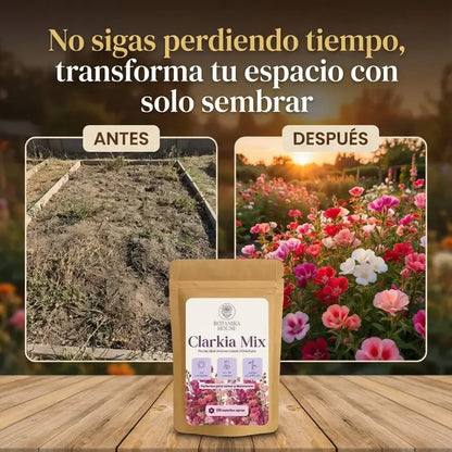 CONVIERTE TU JARDÍN EN UN IMÁN DE MIRADAS