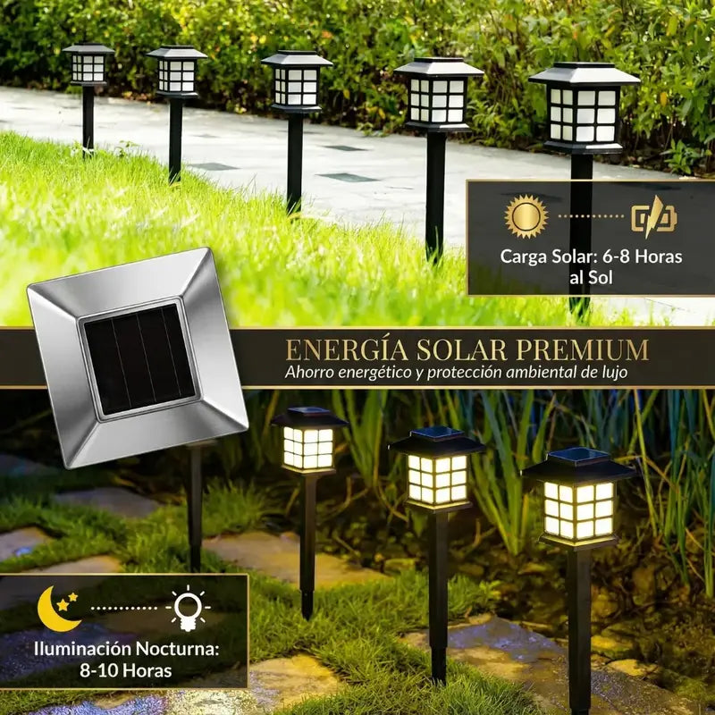 TU JARDÍN OSCURO SE VE BARATO… HASTA HOY | 2X1