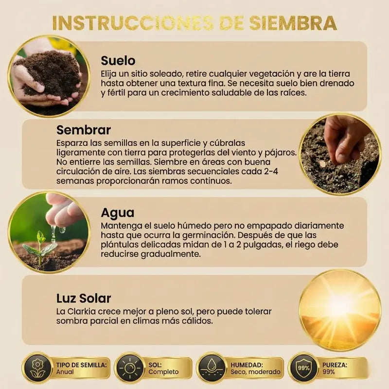 CONVIERTE TU JARDÍN EN UN IMÁN DE MIRADAS