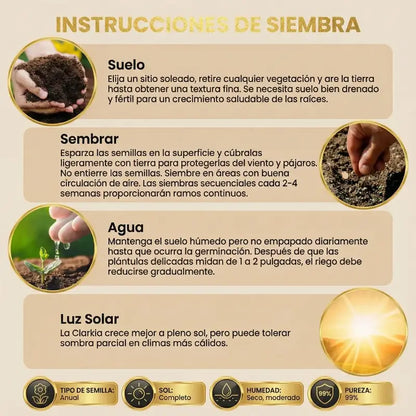 CONVIERTE TU JARDÍN EN UN IMÁN DE MIRADAS