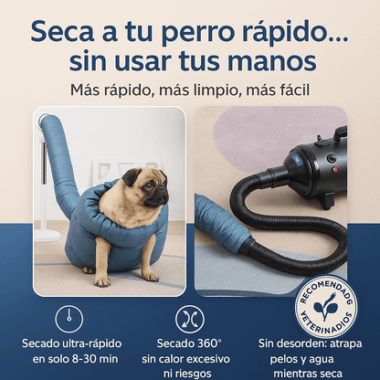 Si tu perro sigue goteando por toda la casa… NO es su culpa. ¡Es que no tienes este abrigo de secado!