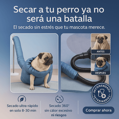 Si tu perro sigue goteando por toda la casa… NO es su culpa. ¡Es que no tienes este abrigo de secado!